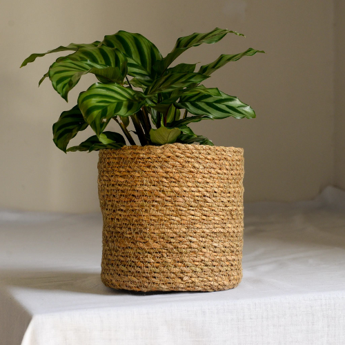 Planter Basket
